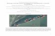Damage and alteration of mangroves inhabited by a marine ... · PDF file1 The following supplement accompanies the article Damage and alteration of mangroves inhabited by a marine