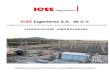 ICEE Ingenieros S.A. de C.V.iceeingenieros.com/curriculum.pdf · Elaborando Memorias de calculo y planos de estructuras y cimentaciones de los diferentes equipos, estructuras mayores
