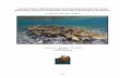 Puerto Rico’s Rapid Response Contingency Plan for Coral · PDF file2015 . Puerto Rico’s Rapid Response Contingency Plan for Coral Bleaching, Disease Outbreaks and Other Ecological