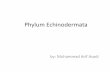 Phylum Echinodermata - Aktifitasblog.ub.ac.id/aldorahmat108/files/2014/11/echinodermata.pdf · Echinoderms Skeleton ... Phylum Echinodermata 4 Water vascular system • network of