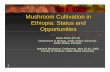 Mushroom Cultivation in Ethiopia.ppt - Yola - kmkmyb.yolasite.com/resources/Mushroom Cultivation in Ethiopia.pdf · Mushroom Cultivation in Ethiopia: Status andEthiopia: Status and
