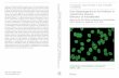From Etiopathogenesis to the Prediction of Autoimmune ...gfid-ev.com/formulare/AAA_Vol5.pdf · From Etiopathogenesis to the Prediction of Autoimmune Diseases: Relevance of ... Autoimmune