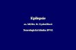 Epilepsie - Tělovýchovné lékařství UK 2. LFktl.lf2.cuni.cz/text/sportovni/epilepsie.pdf · Epidemiologie epilepsie Prevalence: 1,3 –3,1%, Muži jsou postiženi až 2,5 x častěji