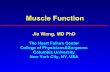 Muscle Function - Columbia University in the City of New · PDF fileMuscle Function Jie Wang, ... skeletal, cardiac and smooth muscle. 3 ... The nerve continues to function properly