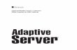 Sybase® Adaptive Server™ Enterprise Utility Programs for ...dis.unal.edu.co/~icasta/man_sybase/utprogux.pdf · Architecture, Sybase User Workbench, SybaseWare, SyBooks, System
