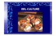 EEL CULTURE - University of California, Davisanimalscience2.ucdavis.edu/.../Lectures/ANS18-10-L08-EEL-CULT.pdf · Elver fishery - • As the leptocephalus larvae sense freshwater,