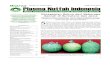 Warta Plasma Nutfah Indonesiaindoplasma.or.id/publikasi/pdf/wpn_21_2009.pdf · Kebun Koleksi 12 Pedoman Penyusunan ... Sukun, nangka (A. heterophyllus Lamarck), dan cempedak ... abang