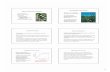 Species Diversity Concepts - Welcome to Ohio · PDF fileSpecies Diversity Concepts Species Richness ... A worked example from a community containing 100 ... Species Abund pi pi ln