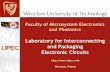 Laboratory for Interconnecting and Packaging Electronic ... · PDF fileFaculty of Microsystem Electronics and Photonics Laboratory for Interconnecting and Packaging Electronic Circuits
