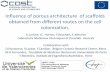 Influence of porous architecture of scaffolds obtained ... · PDF fileInfluence of porous architecture of scaffolds obtained from different routes on the cell ... Faculdade de Medicina