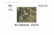 parkweb.vic.gov.auparkweb.vic.gov.au/__data/assets/word_doc/...Social-S…  · Web viewarms and body in slight swinging motion. I am going to Brimbank Park. There will be people
