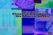 Managing Conservation in Museums - · PDF fileManaging Conservation in Museums Second edition Suzanne Keene OXFORD AMSTERDAM BOSTON LONDON NEW YORK PARIS SAN DIEGO SAN FRANCISCO SINGAPORE
