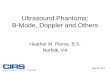 Ultrasound Phantoms: B-Mode, Doppler and Others · PDF fileTypes of QC Phantom Targets. AAPM 2010. Ultrasound Phantoms: B-Mode Doppler and Others • Target Position Verification –