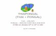 THAIPONGAL (THAI + PONGAL) Sharing/Thai_Pongal.pdf · overs of sweet Pongal and Venn Pongal, ordinary rice as well as rice colored red and yellow, betel leaves, betel nuts, two pieces