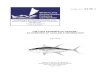 THE TUNA FISHERIES OF VIETNAM - wcpfc.int · PDF fileTHE TUNA FISHERIES OF VIETNAM - AN OVERVIEW OF AVAILABLE INFORMATION A.D. Lewis Oceanic Fisheries Programme Secretariat of the