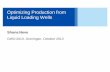 Optimizing Production from Liquid Loading Wells - · PDF fileOptimizing Production from Liquid Loading Wells Shona Neve ... Wells”, SPE-100514-MS presented at the 2006 International