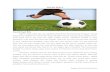 SEPAK BOLA - · PDF fileuntuk mengontrol bola, yang termasuk didalamnya adalah untuk mengatur ... dan yang paling fatal adalah tidak ... tentang passing sepak bola dengan menggunakan
