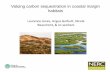 Valuing carbon sequestration in coastal margin habitats - ECSA  Jones, Angus Garbutt, Nicola Beaumont,  co-workers Valuing carbon sequestration in coastal margin habitats