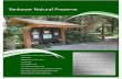 Yankauer Natural Preserve - Potomac Valley Audubon … Project Yank... · Yankauer Natural Preserve ... bird viewing area on Kingfisher Trail. ... summer camps, build forts. A great