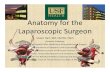 Anatomy Laparoscopic Surgeon - University of South Florida - Pelvic Anatomy Primer.pdf · Effect of obesity on location of great vessels ... of the vagina, and enters into the bladder