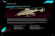 RAPIER UNMANNED HELICOPTER - · PDF fileRapier is unmanned autonomous helicopter that can provide reconnaissance, ... radar confusion ... RAPIER UNMANNED HELICOPTER MILITARY APPLICATIONS
