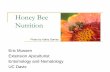 Honey Bee Nutrition - Project Apis m. · PDF fileButyric acid (C4) Palmitic acid (C16) ... Curcumin (tumeric) Bioflavinoids