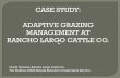 CASE STUDY: ADAPTIVE GRAZING MANAGEMENT AT RANCHO …rangelands.org/strategicgrazing/Grissom_2012_SGMCAS_presentation.… · CASE STUDY: ADAPTIVE GRAZING MANAGEMENT AT ... ADAPTATION