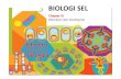 biologi_sel_chapter_3.pdf - TADRIS BIOLOGI IAIN JEMBERtadris-biologi-iainjember.weebly.com/.../biologi_sel_chapter_3.pdf · Fluid-Mosaic Model • Fluid-Mosaic Model adalah struktur