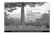 New Hampshire Old Graveyard News - · PDF fileThe New Hampshire Old Graveyard Association was organized on April 10, 1976. It was incorporated as a voluntary ... ed dirt, grime, lichens,