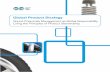 The Global Product Strategy pdf - International Council of ... · PDF fileGlobal Product Strategy ... or practices to provide an appropriate level of safety for people and the environment.