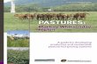 Mackay Whitsunday PASTURES - FutureBeefwere sourced from Tropical Forages: ... 1 Overview of Mackay Whitsunday region _____1 • Location • Climate • The ... catchment encompasses