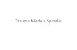 Trauma Medula Spinalis - Fakultas Kedokteranmed.unhas.ac.id/kedokteran/wp-content/uploads/2016/09/Bahan-Ajar-3... · Paralisis kaki, pergelangan, dan tangan, tapi pergerakan bahu