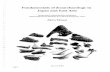 Fundamentals of Zooarchaeology in Japan and EastAsia · PDF fileFundamentals of Zooarchaeology in Japan and EastAsia ... Fundamentals of Zooarchaeology in Japan and East ... Japan