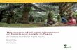 The impacts of oil palm plantations on forests and people ... · PDF fileThe impacts of oil palm plantations on forests and people in ... Merauke (SKP-Merauke ... Total 2,540,721.