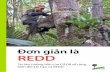 Đơn giản là REDD - cifor. · PDF filetục và tăng đều của nguyên nhân và kết quả. Do tác động của phá rừng và các hoạt động ... Do biến đổi