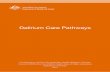 Delirium Care Pathways - Department of  · PDF fileDelirium Care Pathways ... Delirium in Older People to provide a blueprint that guides clinicians in the provision of care in a