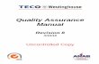 Quality Assurance Manual - TECO-Westinghouse Motor · PDF fileQuality Assurance Manual Rev. 7, 9/29/10 TECO-Westinghouse Motor Company Page 4 of 37 infrastructure (organization) system