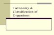 Taxonomy & Classification of Organismstetuteacher.weebly.com/uploads/1/3/3/6/13362371/taxonomy_ppt_2.pdf · Taxonomy & Classification of Organisms . ... Comparison Between Homology