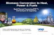 Biomass Conversion to Heat, Power & Fuels · PDF fileBiomass Conversion to Heat, Power & Fuels ... Technologies for converting the whole plant – oil and biomass ... Tonnes Per Day)