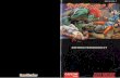 Street Fighter II: The World Warrior - Nintendo SNES ... · PDF fileThank you for selecting STREET FIGHTER Il"", the latest addition to Capcom's Arcade Series. Following ... ..13 -14