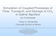 Simulation of Coupled Processes of Flow, Transport, … Library/Events/2014/carbon_storage/3... · Simulation of Coupled Processes of Flow, Transport, ... Coupling fluid flow and