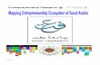 Mapping Entrepreneurship Ecosystem of Saudi Arabia · PDF filejameel Chambers of Commerce and Industry RIM (Research in Motion with SAGIA only for IT related projects) CCI Business