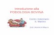 Introduzione alla PODOLOGIA BOVINA - cvsm. · PDF filecosa? Per zoppia si intende la manifestazione di un difetto dell’apparato locomotore con alterazione dell’andatura, conseguente
