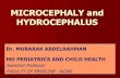 MICROCEPHALY and HYDROCEPHALUS -  · PDF filemicrocephaly and hydrocephalus dr. mubarak abdelrahman md pediatrics and child health assistant professor faculty of medicine -jazan