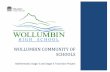 WOLLUMBIN COMMUNITY OF SCHOOLS - Numeracy Skillsnumeracyskills.com.au/images/pdfs/Wollumbin_Report_final.pdf · Wollumbin Community of Schools ... common framework of language to