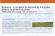 GMO CONTAMINATION PREVENTION - Demeter  · PDF fileBy Jim Riddle, Organic Outreach Coordinator ... GMO CONTAMINATION PREVENTION ... clean up, and compensation