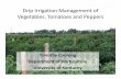 Drip Irrigation Management of Vegetables: Tomatoes …ipm.illinois.edu/ifvn/presentations/irrigation/coolong_vegetables.pdf · Drip Irrigation Management of Vegetables: Tomatoes and