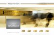 corporate brochure -  · PDF fileCORPORATE BROCHURE 1. 2 COMPANY PROFILE ... Flare Stack Packages (Skid / Mobile) ... design, heat load calculations,