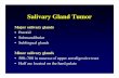 Salivary Gland Tumor - Siriraj  · PDF filecommon cancer of the parotid gland and all salivary glands. ... - carcinoma ex pleomorphic adenoma ... Tutorial Parotid.PPT