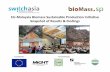 EU-Malaysia Biomass Sustainable Production Initiative ...biomass-sp.net/wp-content/uploads/2013/11/Biomass-SP.pdf · To improvebiomass supply chain in Malaysia by promoting ... 4